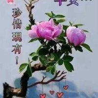 李水全