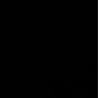 بدر الدوسري