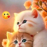 David Zeeshan