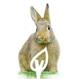 Césped Artificial Verdalia