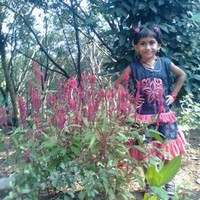 J S Jayaraj