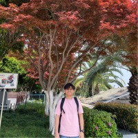 Anthonne Rey Castillo