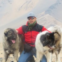 carlos catalan