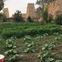 عثمان ال سلمه