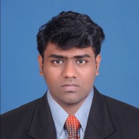 Gokul Krishnan V