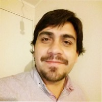 Paulo Andrés Cárcamo Martinez