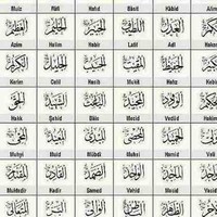 Talab Qaqour