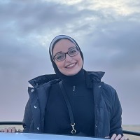 Heba Hamdy