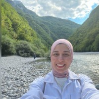 Noha Hassan