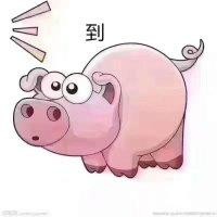 张素芬