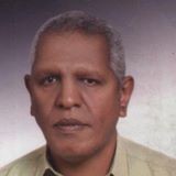 Nagib Gamal
