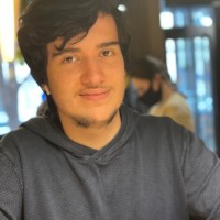 Bora Şamdanli