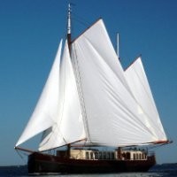 Jelleke Van Der Staaij