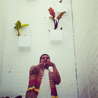Luis Juarez