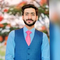 Malik Hasnain