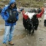 Rakesh Mohanty