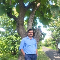 Bipin kumar Jha