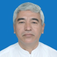 Ali Baqdool