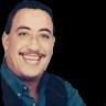 الفن الجميل