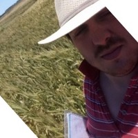 FERNANDO MATIAS GOLPE