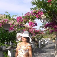 Hoa Tuyet Tran