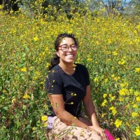 Denise Viale Cabello