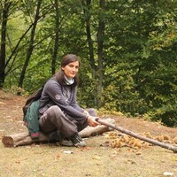 elif I.