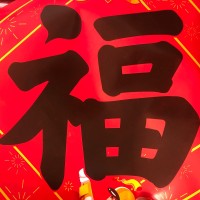 宋红雨