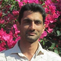 Alireza shams