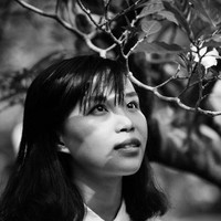 Hoàng Lynh