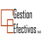 Gestion Efectivos