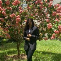 Shareen Shaikh