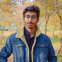 Syed Hussain Raza