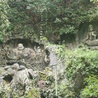 胡文学