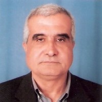 Mohiy Eldin Abdel Rahman