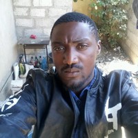Chola Mushota