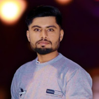 Muhammad Fayyaz Ul Hassan
