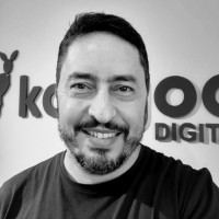 David Pinheiro
