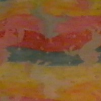 Pink Wolf