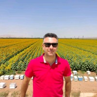 Aziz Kul
