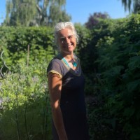 Anne Van Der Veen