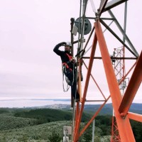 Matias D. Vicencio Reinoso