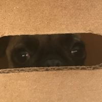 Jairo Mendoza Zamora