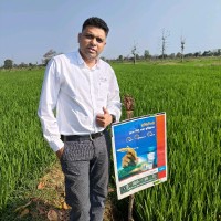 Ravi Gorlewar
