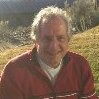 Steve Haase