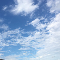 秦子涵