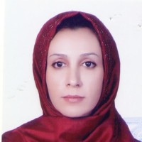 Maryam Babalhavaeji