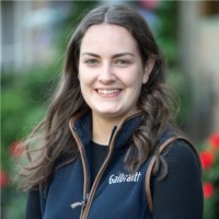 Caroline Cook