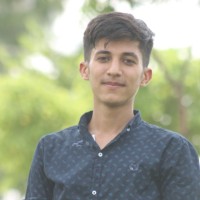 Malik Idrees