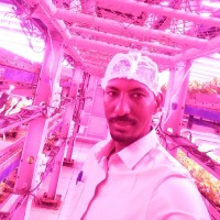 Mohammed Albashir